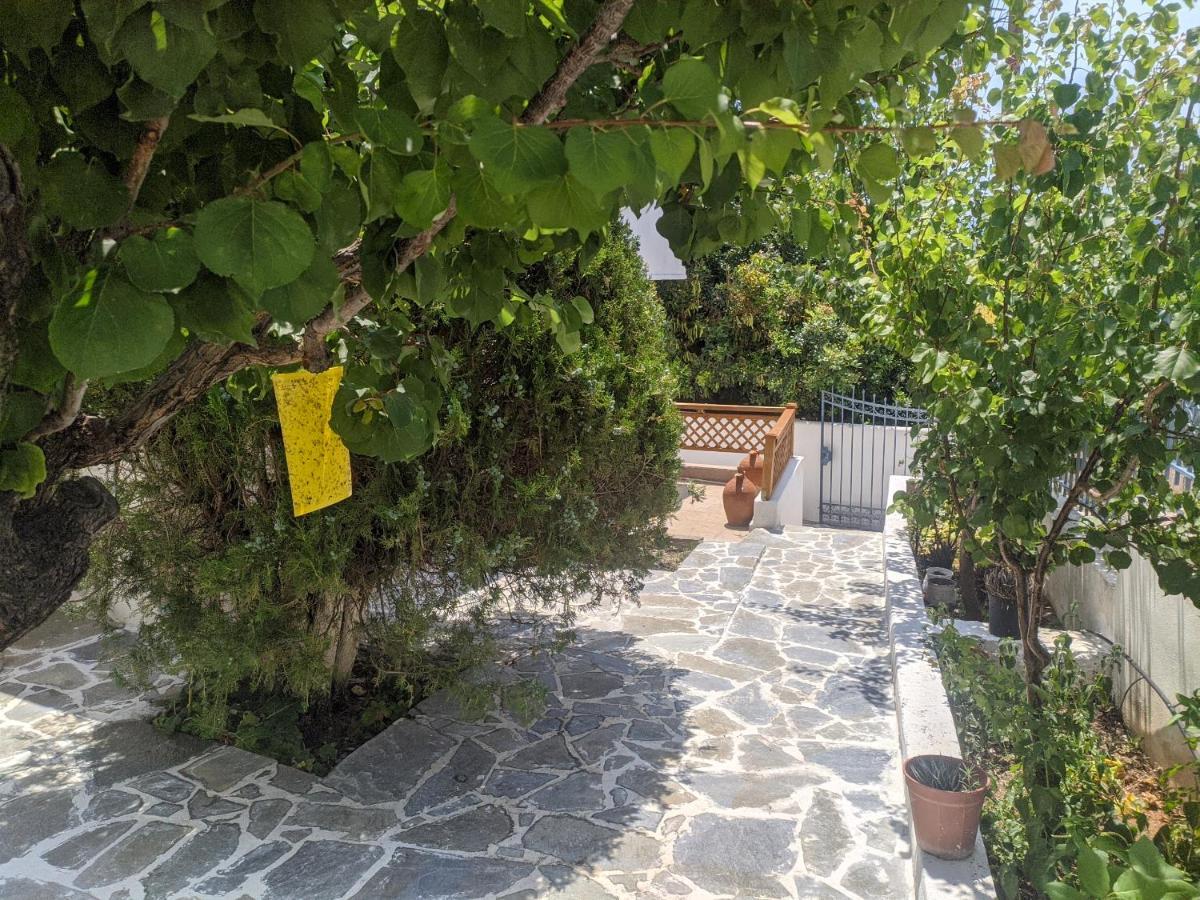 Iliakti Relaxing Seaside Villa Salamis Exterior photo