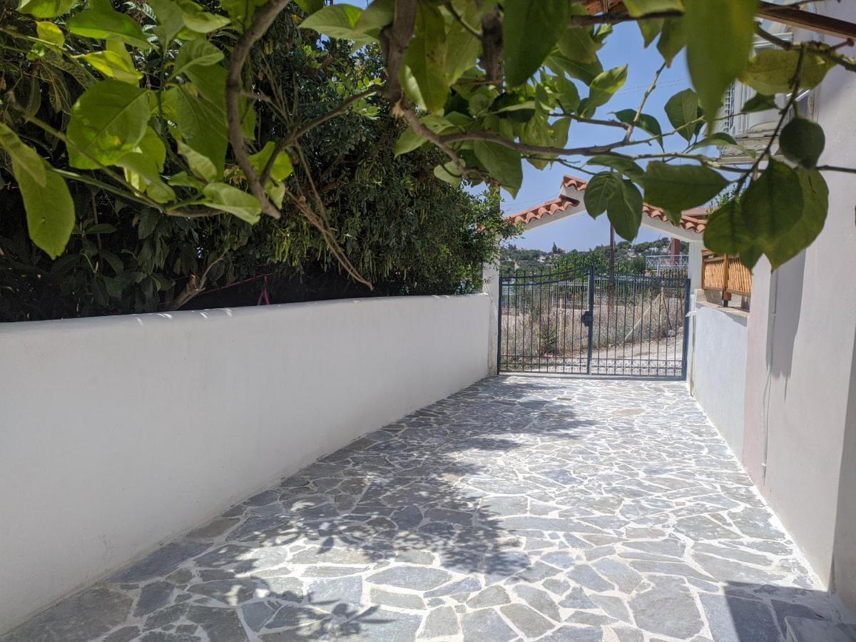 Iliakti Relaxing Seaside Villa Salamis Exterior photo